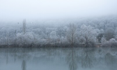 Forêt gelée se reflétant dans un cours d'eau, en hiver. Trois cygnes volent dans le ciel.