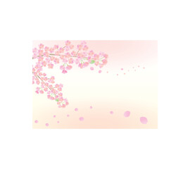 花びら舞い散る　淡い桜の背景イラスト