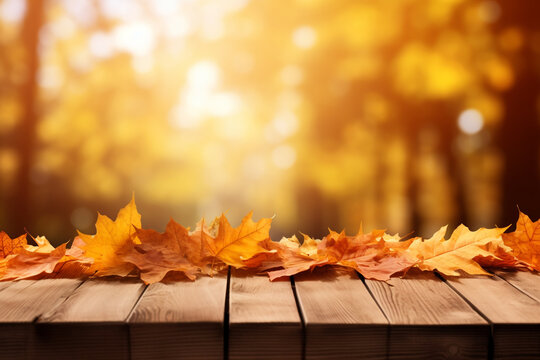 beautiful autumn, autumn, leaves