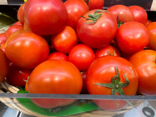 tomatoes on the vine