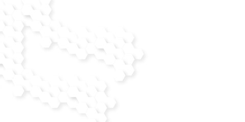 Abstract background with hexagon, modern abstract vector polygonal pattern. Futuristic abstract honeycomb technology white background. Luxury white hexagon pattern.