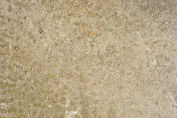 A worn-out reinforced concrete wall of greenish gray on the sunny rays