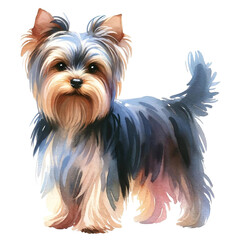 Hand-Painted Yorkshire Terrier Watercolor Art
