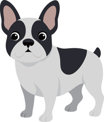 pet french bulldog vecor illustration