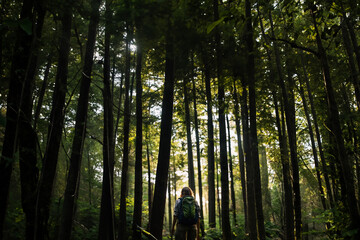 Naklejka premium 森の中の女性