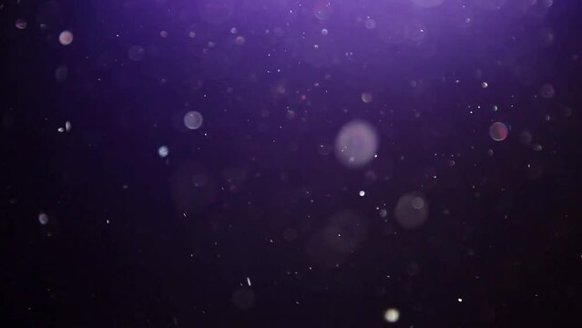 Cinematic Particles Elegance. Mesmerizing Particle Motion Loop
