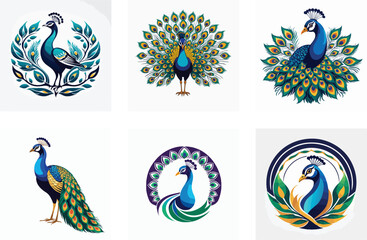 Obraz premium peacock logo vector icons