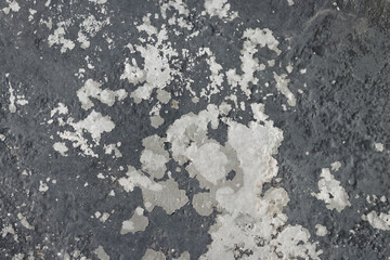 Old cracked white paint on dark grey metal