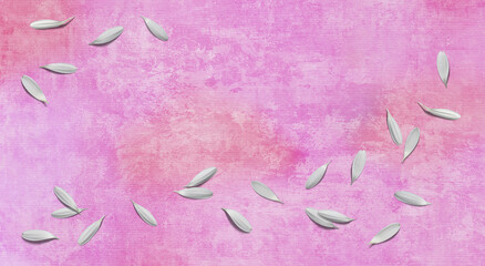 ピンクの重ね塗りペイントの背景に、白いガーベラが舞う季節のテクスチャー