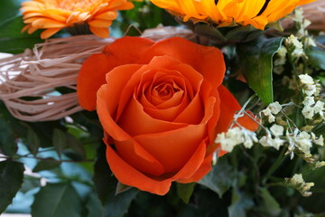 Blüte © Ben