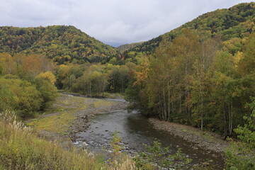 北海道、日本で一番早く秋がやってくる、大雪山。
層雲峡はそんな大雪山国立公園にある峡谷です。
