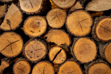 cut wood logs stacked in pile