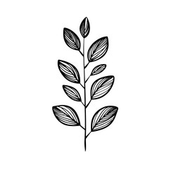 tropical leaves and flowers
