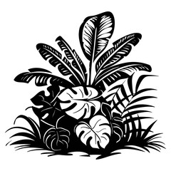 tropical leaves and flowers
