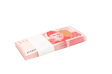Pakistan one hundred rupees banknote bundle on white isolated background
