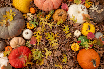 Colorful fall decorations with orange, yellow, red, pumpkins, gourds, squash and fall leaves