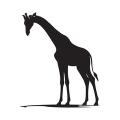 Graceful Giants: Vector Giraffe Silhouette - Capturing the Elegance and Majesty of Africa's Tallest Land Mammal. Minimalist Giraffe Vector, Giraffe Illustrtion.