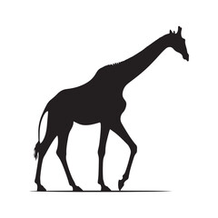 Fototapeta premium Graceful Giants: Vector Giraffe Silhouette - Capturing the Elegance and Majesty of Africa's Tallest Land Mammal. Minimalist Giraffe Vector, Giraffe Illustrtion.