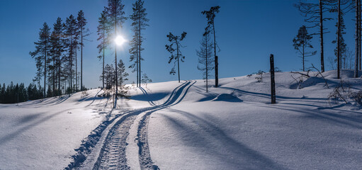 Scenic wide panorama of curvy fresh snowmobile trace on slope, fresh fallen snow in rare pine tree...