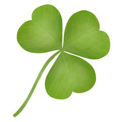 Shamrock leaf