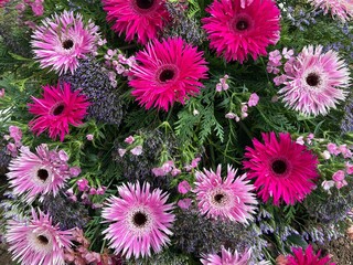 Bunte Blumen in rosa und pink nach Beerdigung auf dem Friedhof - 749984266