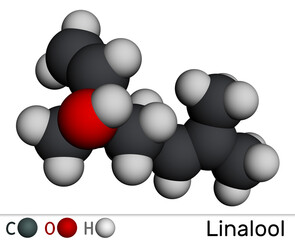 Linalool molecule. It is terpene alcohol. Molecular model. 3D rendering