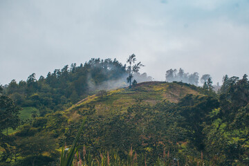 mountain with clouds and trees 