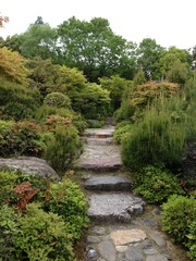 手入れされた階段のある庭
