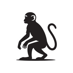 Primal Elegance: Vector Monkey Silhouette - Capturing the Agile and Playful Spirit of Primates in Striking Form. Monkey illustration, Monkey Vector.