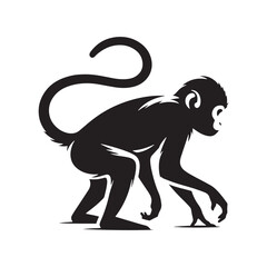 Obraz premium Primal Elegance: Vector Monkey Silhouette - Capturing the Agile and Playful Spirit of Primates in Striking Form. Monkey illustration, Monkey Vector.