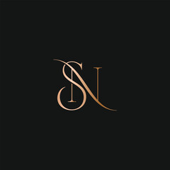 SN NS logo design. Vector illustration.