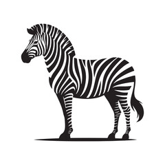 Fototapeta na wymiar Vector Zebra Silhouette - Embracing the Grace and Beauty of Africa's Iconic Striped Equine. Zebra illustration, Zebra vector.