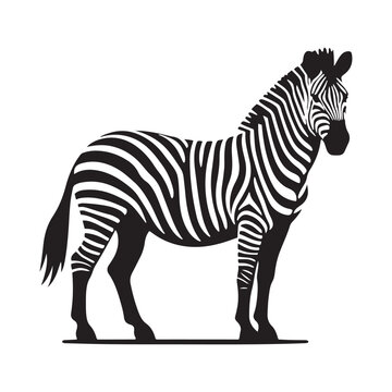 Vector Zebra Silhouette - Embracing the Grace and Beauty of Africa's Iconic Striped Equine. Zebra illustration, Zebra vector.