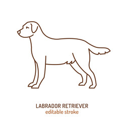 Labrador retriever silhouette, outline contour sketch. Most popular dog icon, sign.
