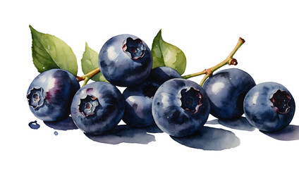 png watercolor blueberries realistic, appetizing, on transparent background, sublimation for t-shirt and packaging, your design