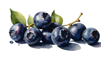 png watercolor blueberries realistic, appetizing, on transparent background, sublimation for t-shirt and packaging, your design