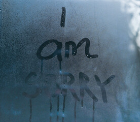 i am sorry - the phrase is written on wet glass.