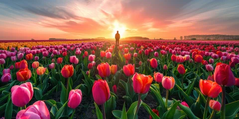 Foto op Canvas Man standing in tulip field at sunset with vibrant colors reflecting on the petals © SHOTPRIME STUDIO