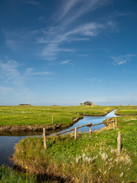 Kirchwarft and Ockelutzwarft on Hallig Hooge, North Frisia, Schleswig-Holstein, Germany