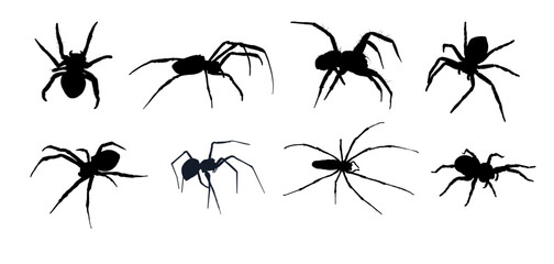 set of spider silhouette isolated