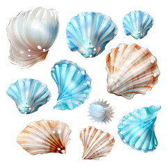 Blue sea shells isolated on white background