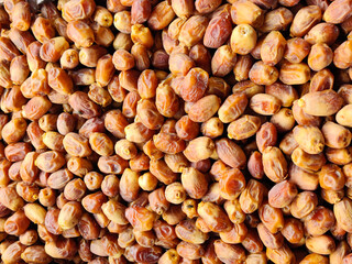 A dry fruit Date is the dried fruit of the date palm tree, scientifically known as Phoenix dactylifera. These fruits are typically harvested when ripe and then dried to preserve them for long periods.