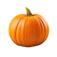 pumpkin png in isolated on white background