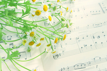 Fototapeta na wymiar 花と音楽