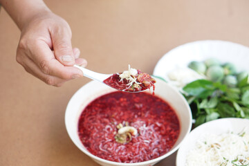 Hand hold spoon of red fresh blood mixed with minced pork ,Thai herbs ingredients. Spicy bloody salad menu on spoon and bowl, Concept, weird food. Traditional local food in the north of Thailand.