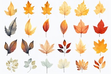 Collection of autumn leaves sticker clipart set illustration with pattern background