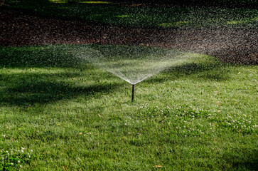 A water sprinkler on a green lawn.