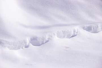 Fototapeta na wymiar Photo of the snow texture without unnecessary elements, natural.