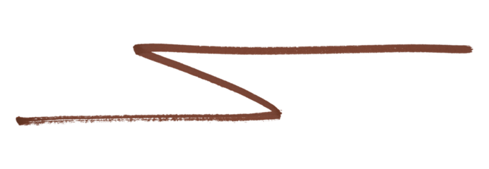 Brown stroke brush isolated on transparent background.