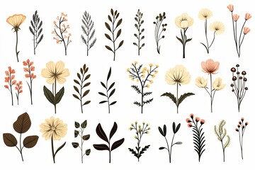 Set of tiny wild flowers boho and botanical plants line art illustrations set - obrazy, fototapety, plakaty